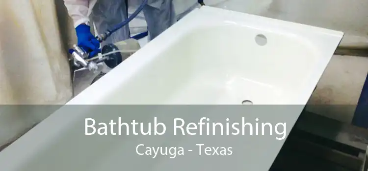 Bathtub Refinishing Cayuga - Texas
