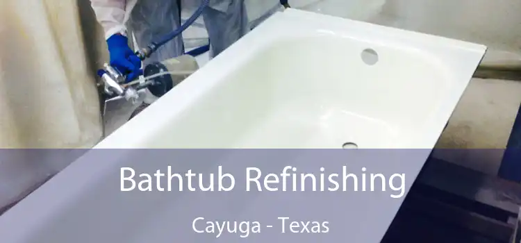 Bathtub Refinishing Cayuga - Texas