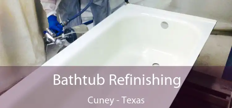 Bathtub Refinishing Cuney - Texas