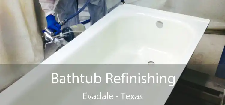 Bathtub Refinishing Evadale - Texas