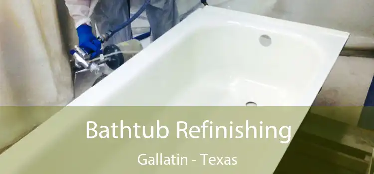 Bathtub Refinishing Gallatin - Texas