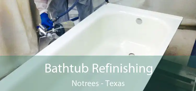 Bathtub Refinishing Notrees - Texas