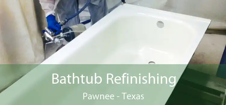Bathtub Refinishing Pawnee - Texas