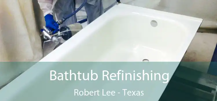 Bathtub Refinishing Robert Lee - Texas