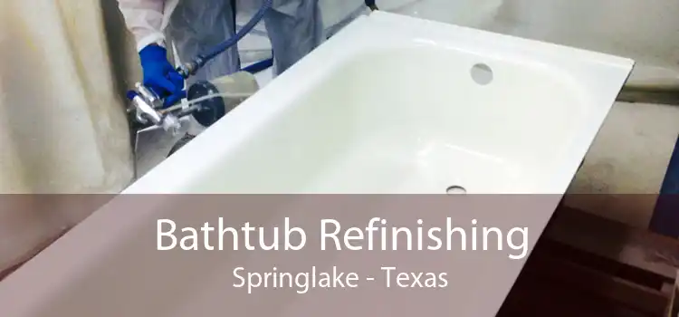 Bathtub Refinishing Springlake - Texas