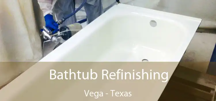 Bathtub Refinishing Vega - Texas