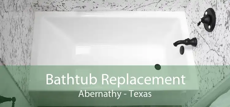 Bathtub Replacement Abernathy - Texas