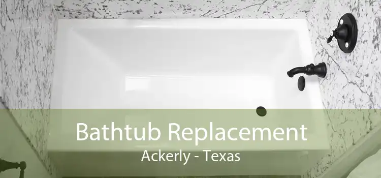 Bathtub Replacement Ackerly - Texas