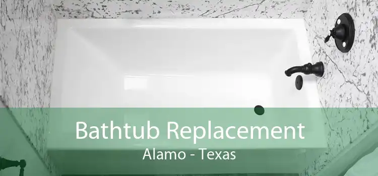 Bathtub Replacement Alamo - Texas