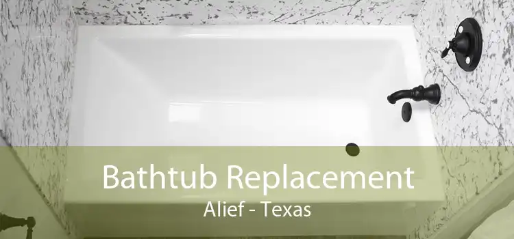 Bathtub Replacement Alief - Texas