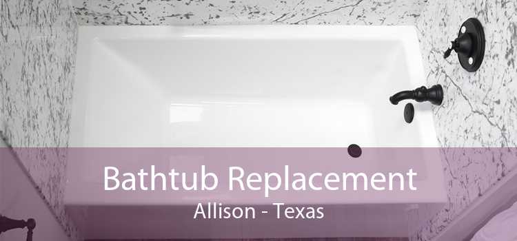 Bathtub Replacement Allison - Texas