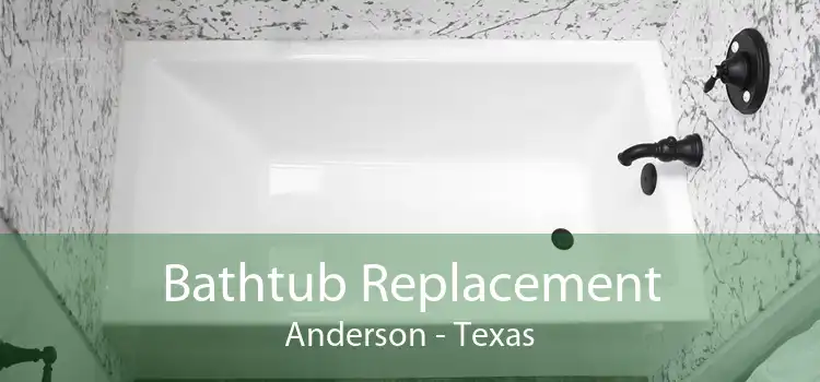 Bathtub Replacement Anderson - Texas