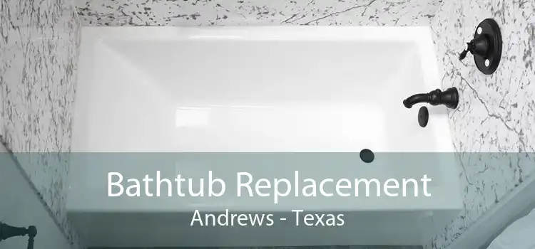 Bathtub Replacement Andrews - Texas