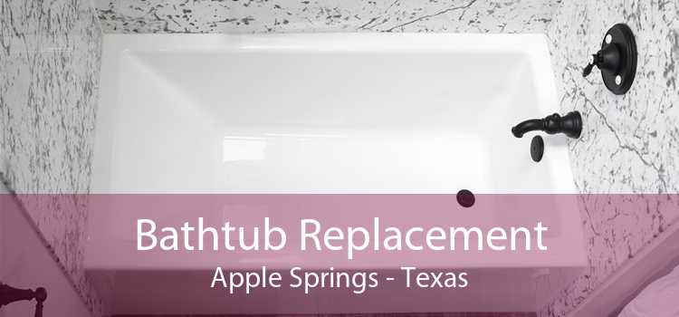 Bathtub Replacement Apple Springs - Texas