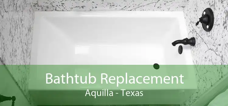 Bathtub Replacement Aquilla - Texas