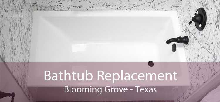 Bathtub Replacement Blooming Grove - Texas