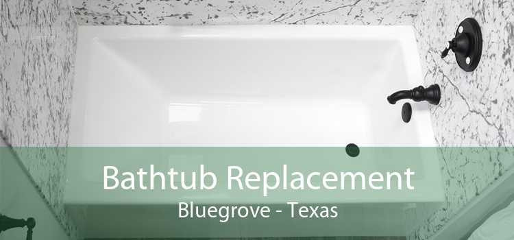 Bathtub Replacement Bluegrove - Texas