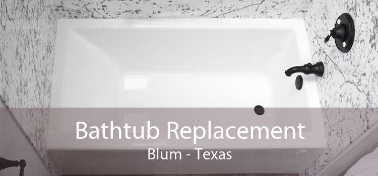 Bathtub Replacement Blum - Texas