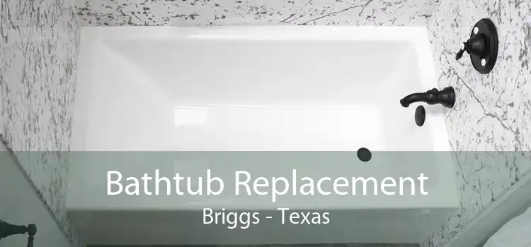 Bathtub Replacement Briggs - Texas