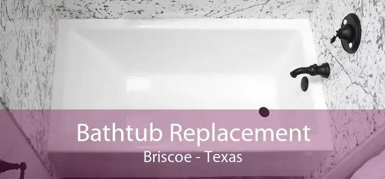 Bathtub Replacement Briscoe - Texas
