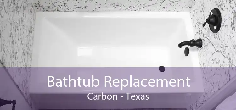 Bathtub Replacement Carbon - Texas