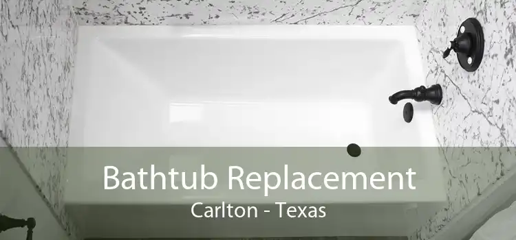 Bathtub Replacement Carlton - Texas