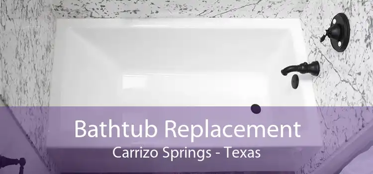 Bathtub Replacement Carrizo Springs - Texas
