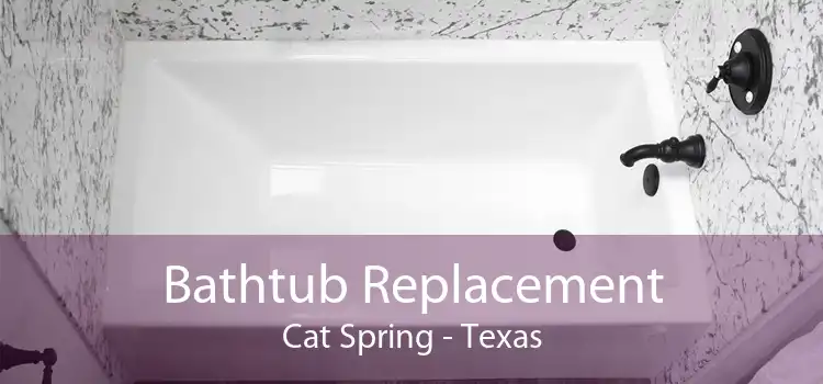 Bathtub Replacement Cat Spring - Texas