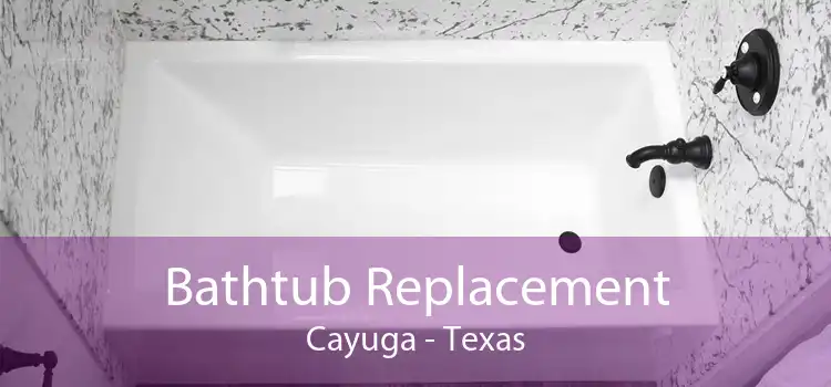 Bathtub Replacement Cayuga - Texas
