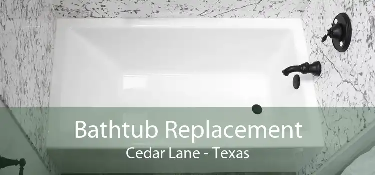 Bathtub Replacement Cedar Lane - Texas