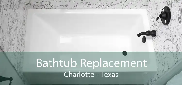 Bathtub Replacement Charlotte - Texas