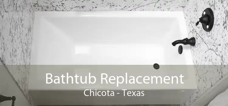 Bathtub Replacement Chicota - Texas