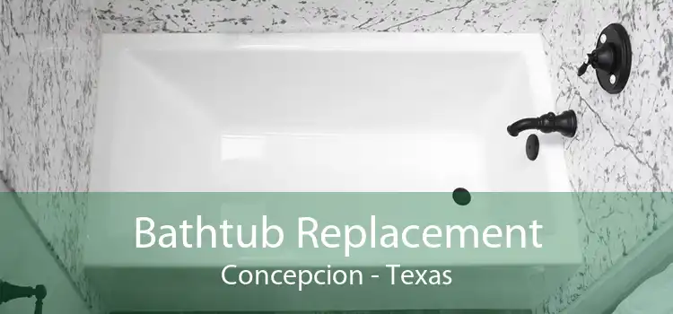Bathtub Replacement Concepcion - Texas