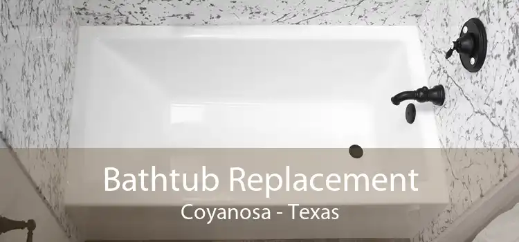 Bathtub Replacement Coyanosa - Texas