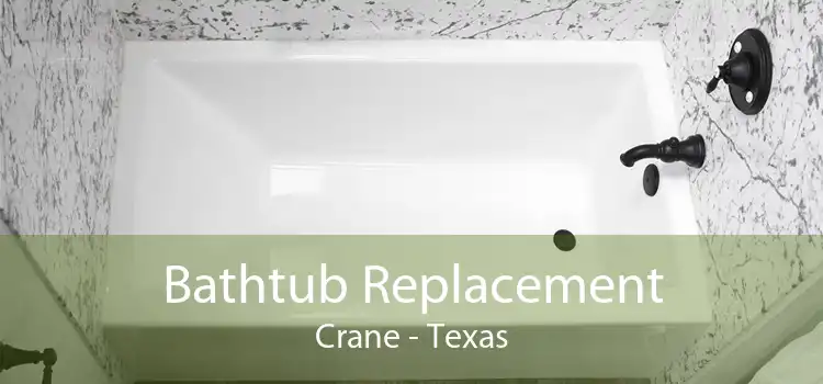 Bathtub Replacement Crane - Texas