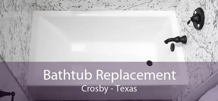 Bathtub Replacement Crosby - Texas