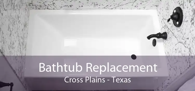 Bathtub Replacement Cross Plains - Texas