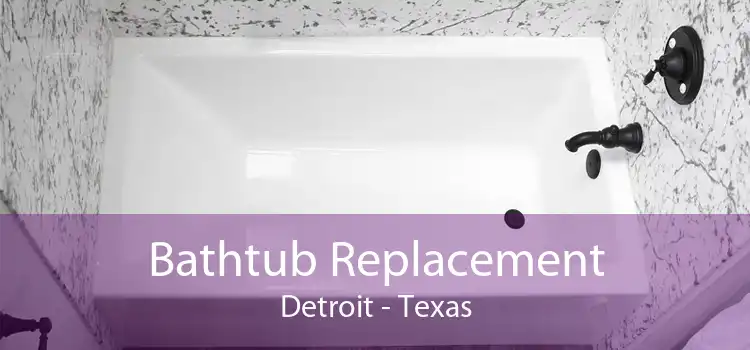 Bathtub Replacement Detroit - Texas