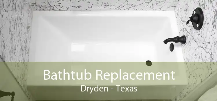 Bathtub Replacement Dryden - Texas