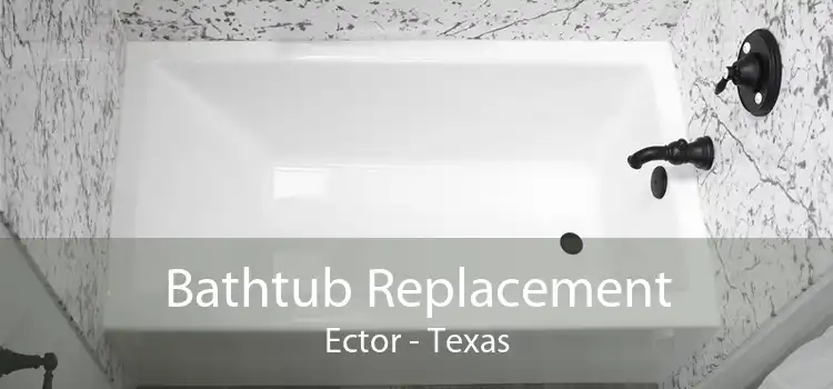 Bathtub Replacement Ector - Texas