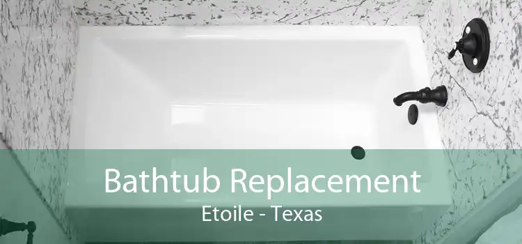Bathtub Replacement Etoile - Texas