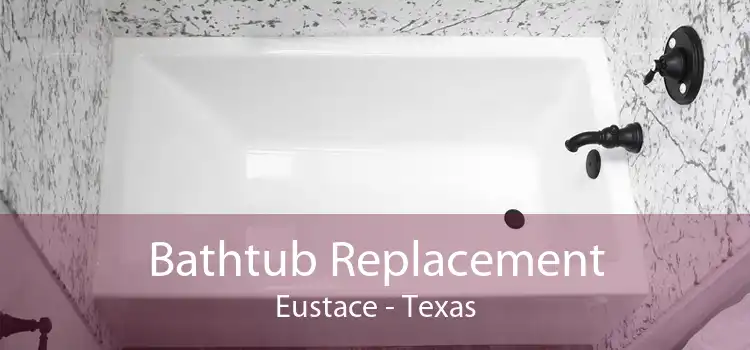 Bathtub Replacement Eustace - Texas