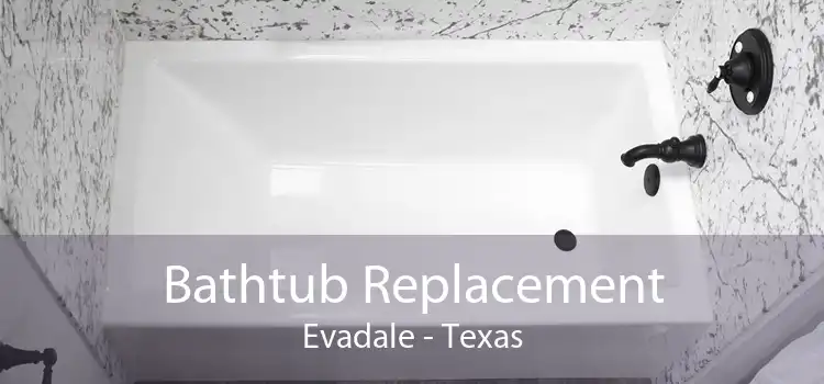 Bathtub Replacement Evadale - Texas