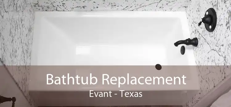 Bathtub Replacement Evant - Texas