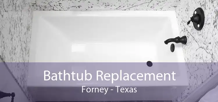 Bathtub Replacement Forney - Texas
