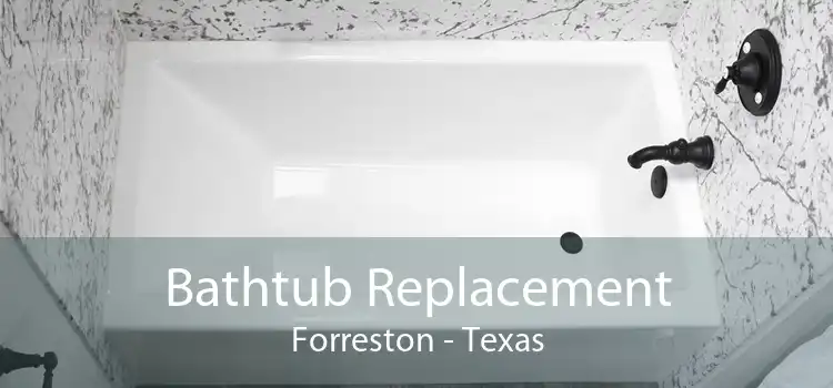 Bathtub Replacement Forreston - Texas