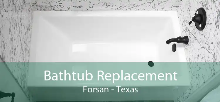 Bathtub Replacement Forsan - Texas