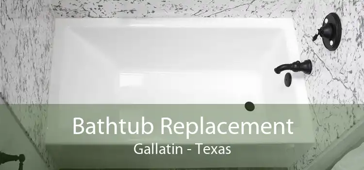 Bathtub Replacement Gallatin - Texas