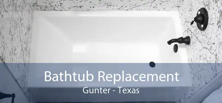 Bathtub Replacement Gunter - Texas