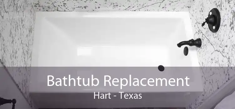 Bathtub Replacement Hart - Texas